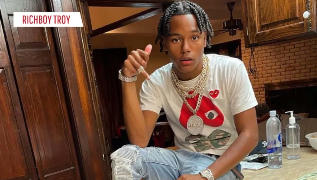 The Rise of Richboy.Troy From Social Media Sensation to Teen Icon